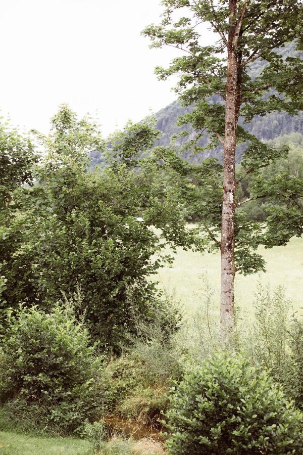 Bachbett - Modernes Gaestehaus Im Salzkammergut Bad Ischl Esterno foto